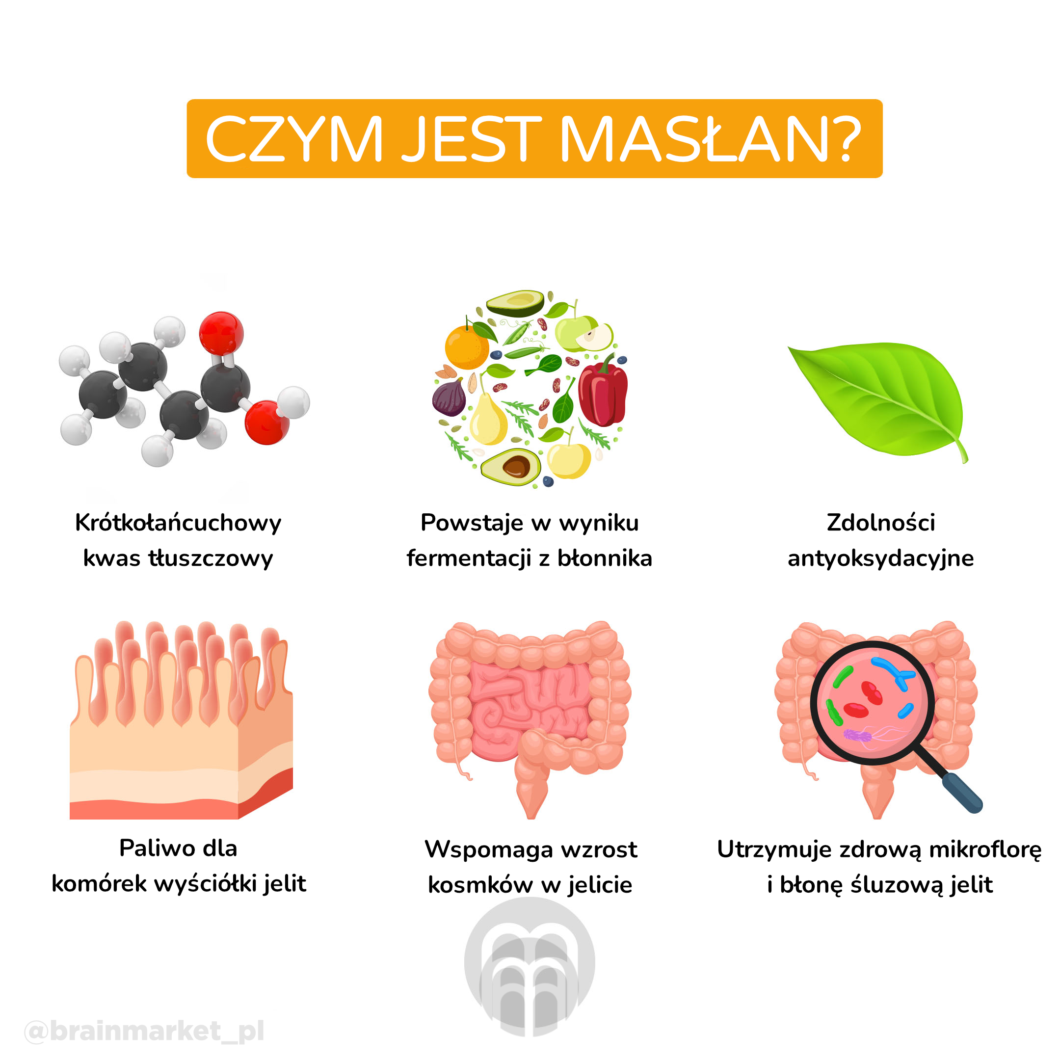 butyrat_infografika_brainmarket_pl